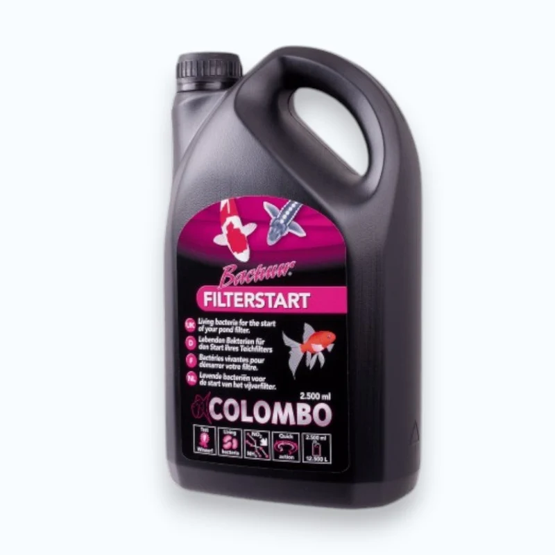 Colombo Filter Start