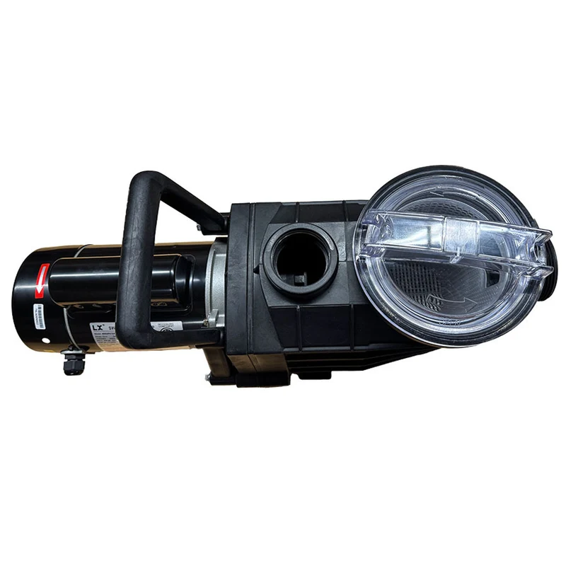 Pompe de piscine creusée LX 1.65 HP
