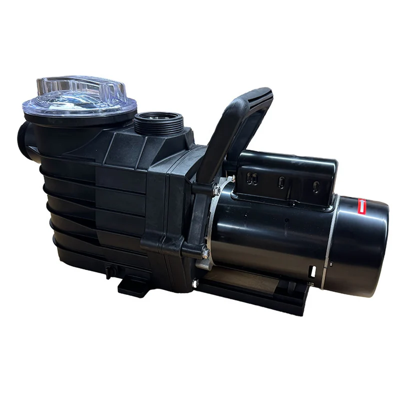 Pompe de piscine creusée LX 1.65 HP
