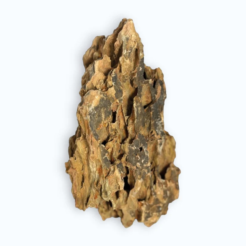 Superfish Dragon Rock – Roche décorative pour aquascaping