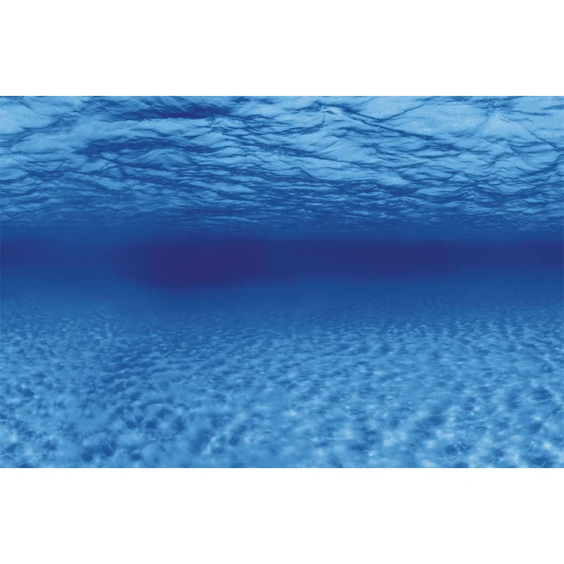 SuperFish Deco Poster F