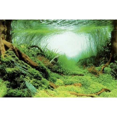 SuperFish Deco Poster C