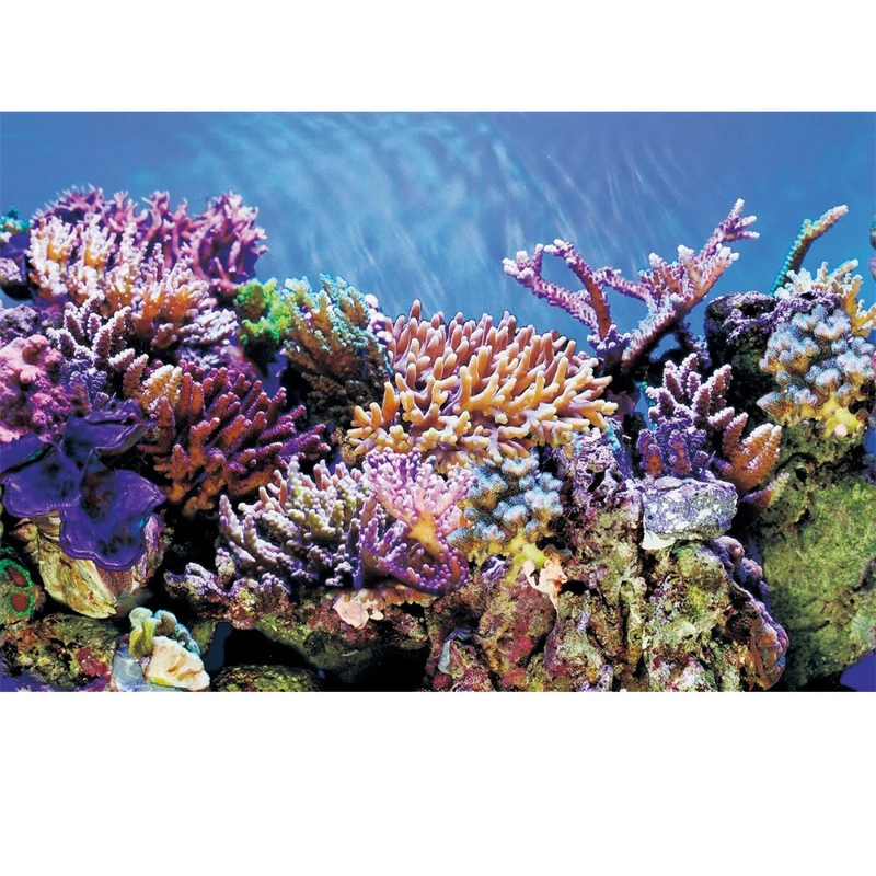 SuperFish Deco Poster A