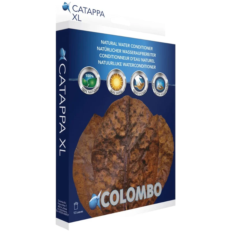Catappa XL