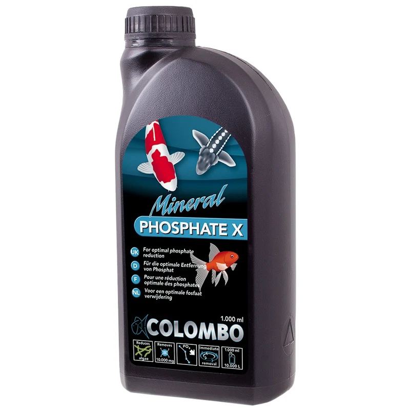 Colombo Phosphate X Bassin