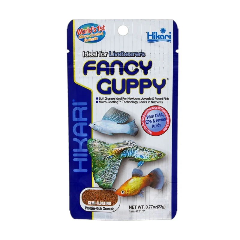 Hikari Fancy Guppy