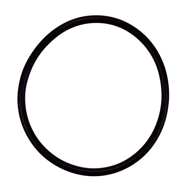 Pentair R172009Z Replacement O-ring for Rainbow Automatic Chemical Feeder Lid