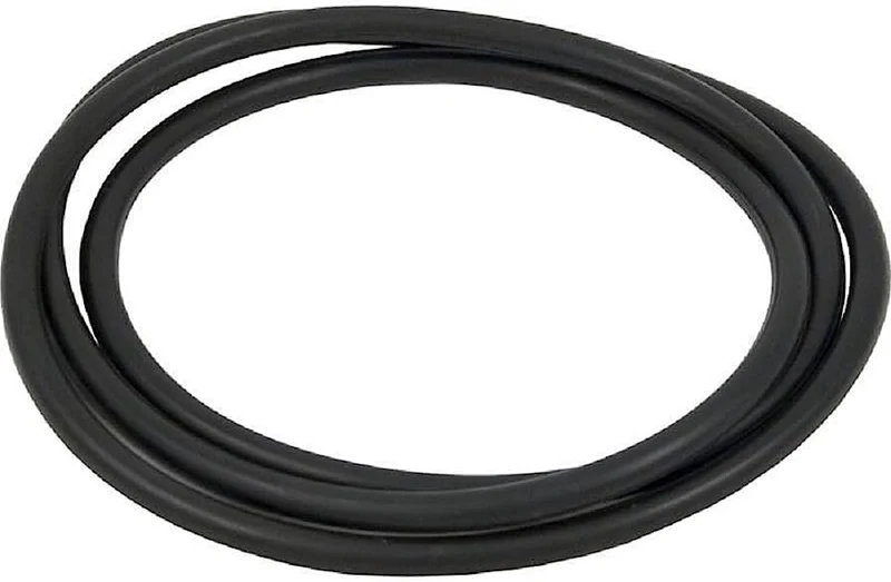 XStream FILTRE À CARTOUCHE Oring DE CORP - HAYWARD