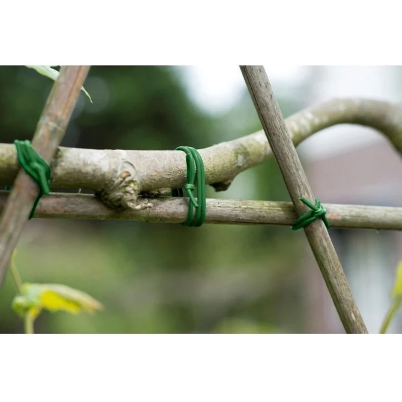 Lien souple vert de tuteurage - Ø3 mm x 50 m