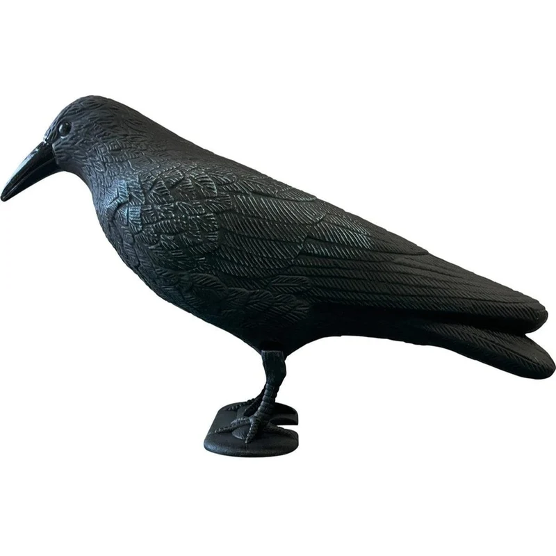 SF DECO BIRD CROW