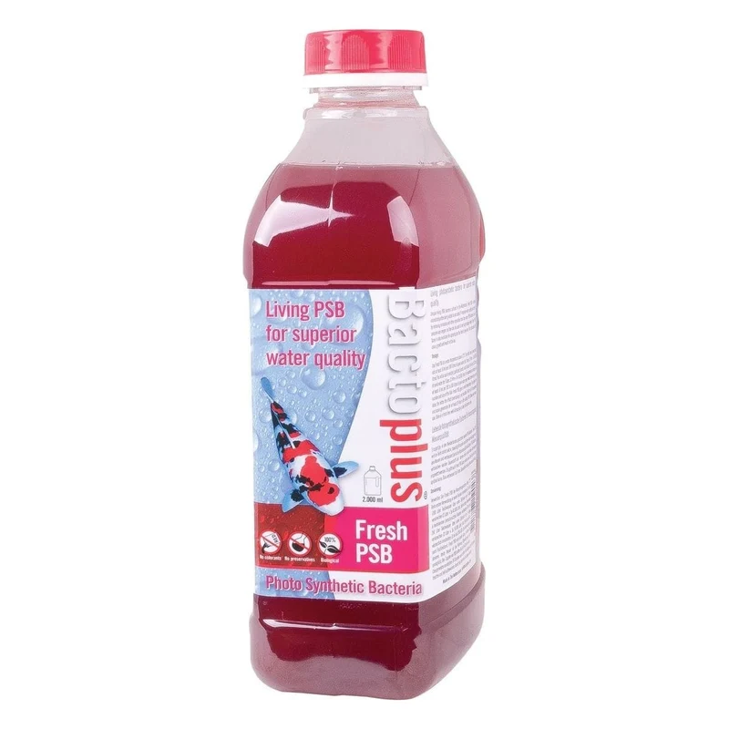 BACTOPLUS FRESH PSB 2000 ML - Bactéries Bactoplus PSB - 2L - Le top !