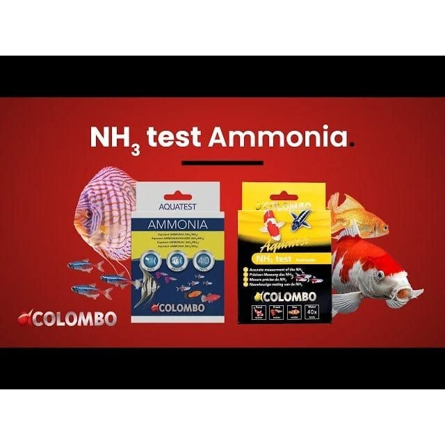 COLOMBO NH3 TEST