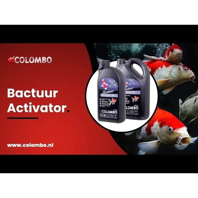 COLOMBO BACTURE ACTIVATOR 1000 ML