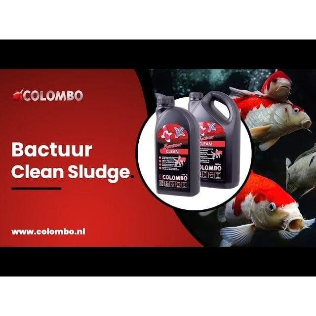 COLOMBO BACTURE CLEAN 2500 ML