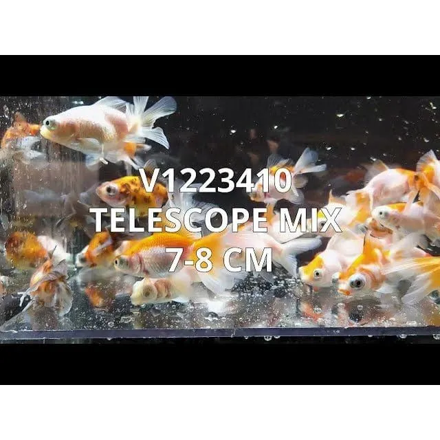 TELESCOPE MIX 7-8 CM