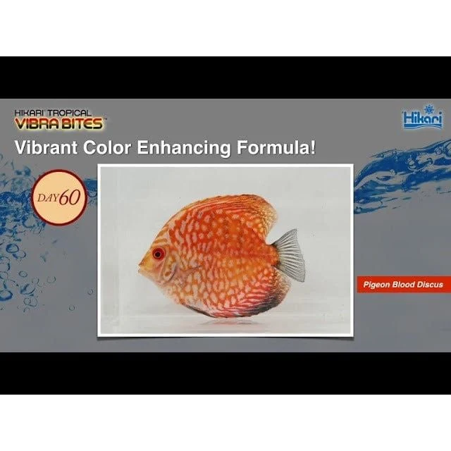 HIKARI TROPICAL VIBRA XL 125 GRAM