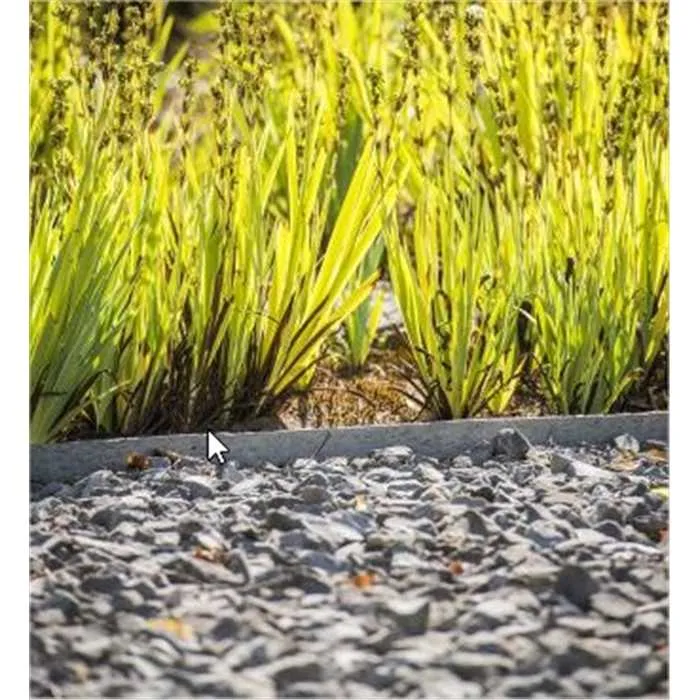 Ecolat droite Brun - 2M x 14CM x 1CM - Bordure de bassin ECOO