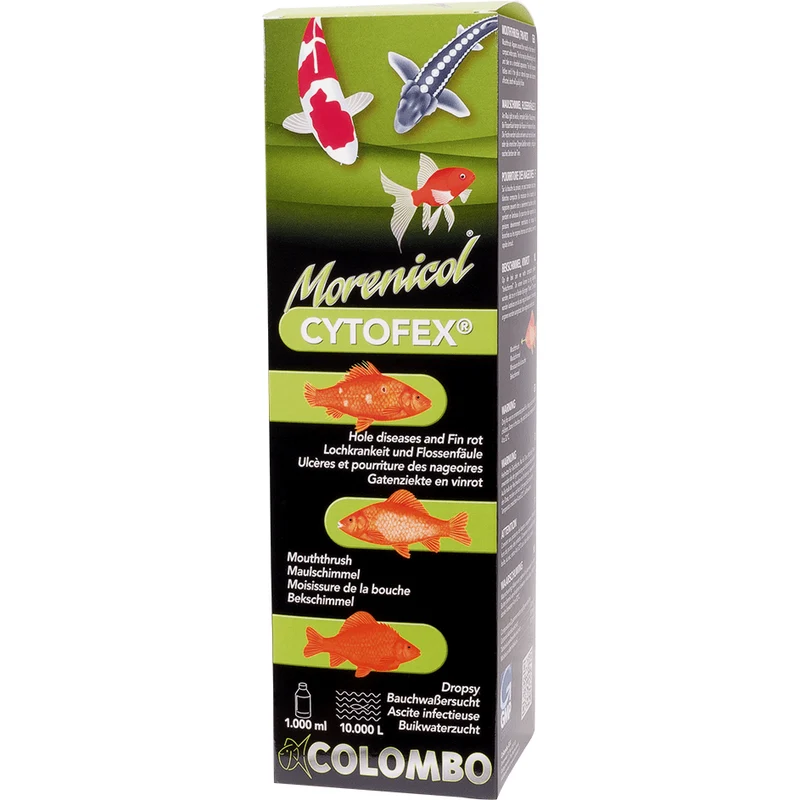 Cytofex 500ml/5.000litres - Contre les infections bactériennes - Morenicol Colombo
