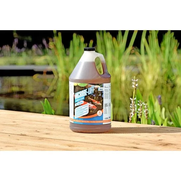 Microbe-Lift Clean & Clear 4litres - Bactéries photosynthétiques puissantes
