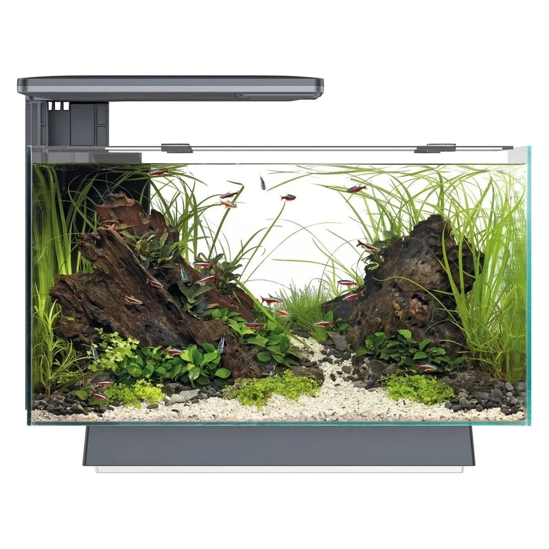 SF QUADRO 40 MULTI COLOUR BLACK