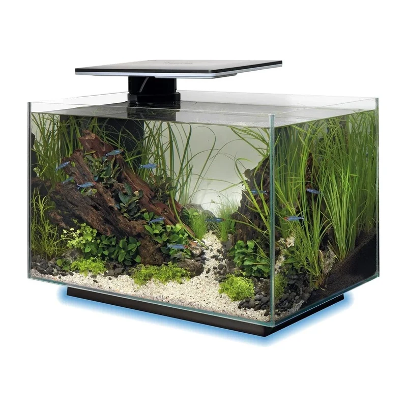 SF QUADRO 40 MULTI COLOUR BLACK