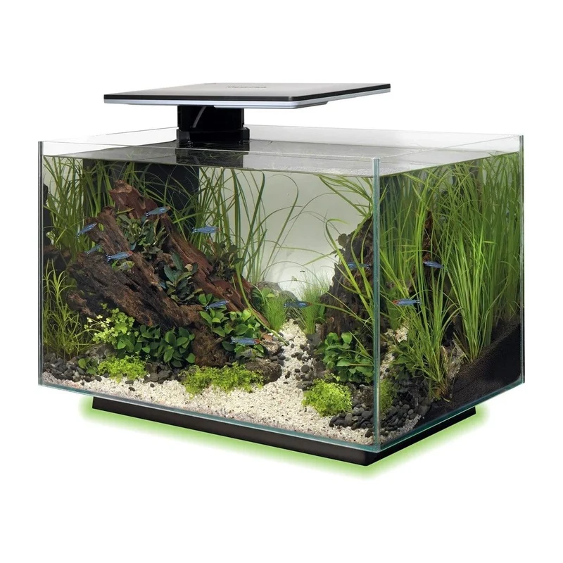 SF QUADRO 40 MULTI COLOUR BLACK