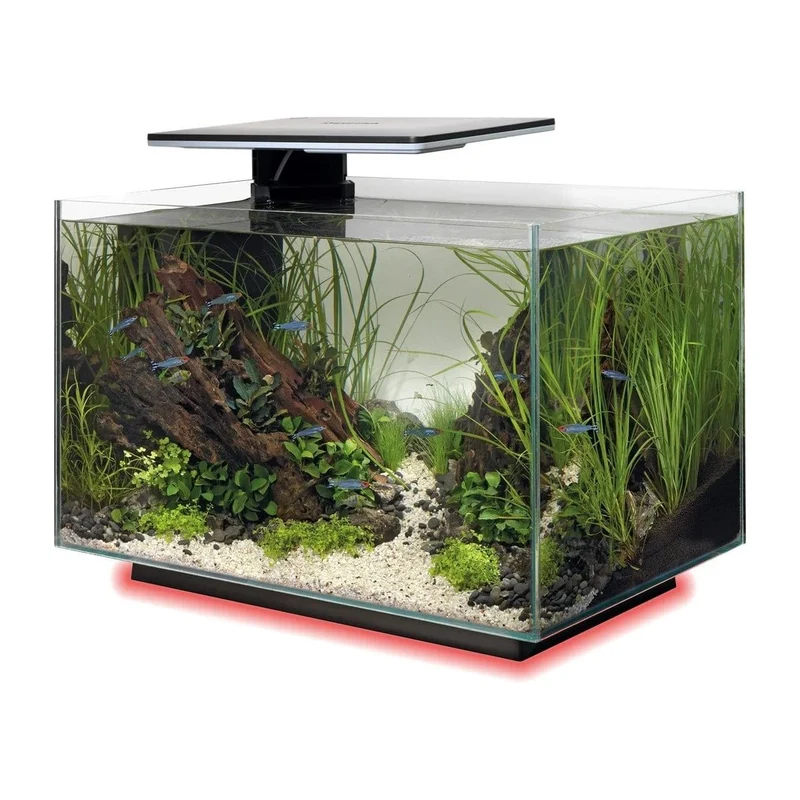 SF QUADRO 40 MULTI COLOUR BLACK