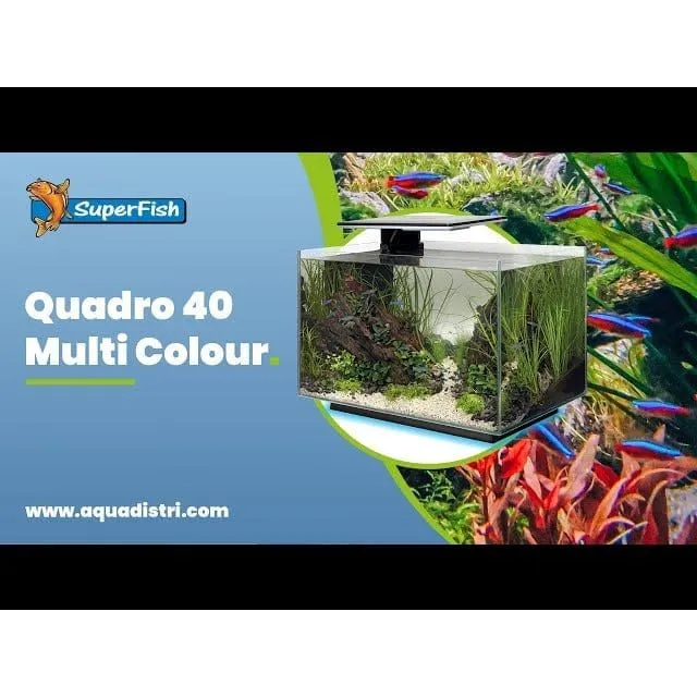 SF QUADRO 40 MULTI COLOUR WHITE