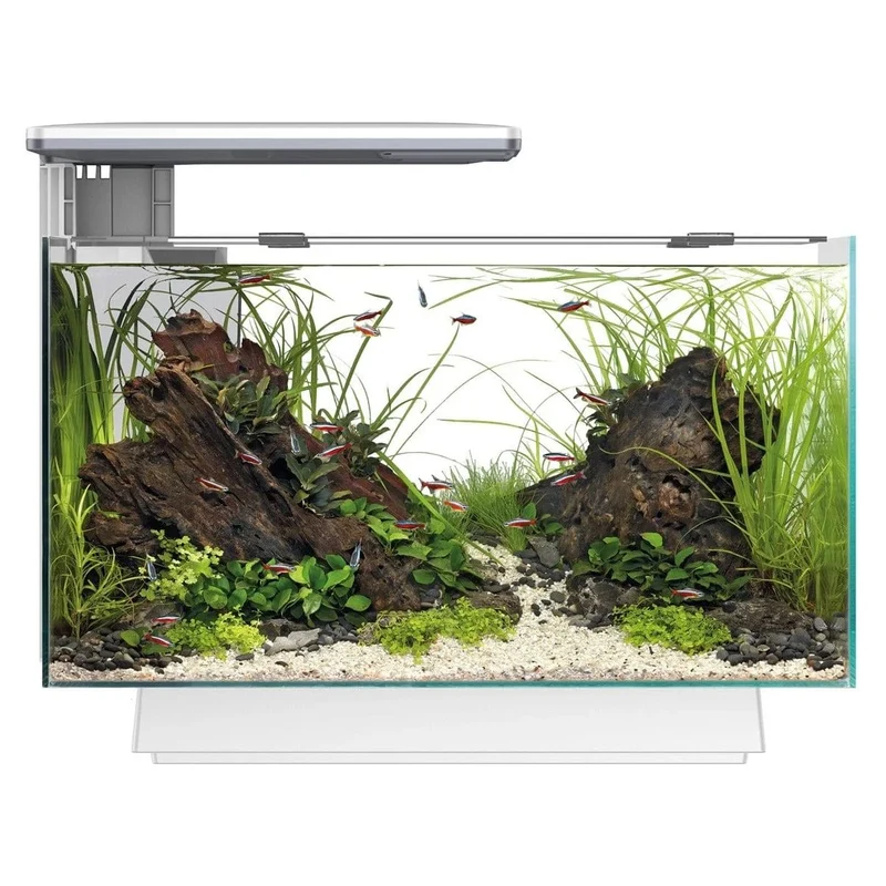 SF QUADRO 40 MULTI COLOUR WHITE