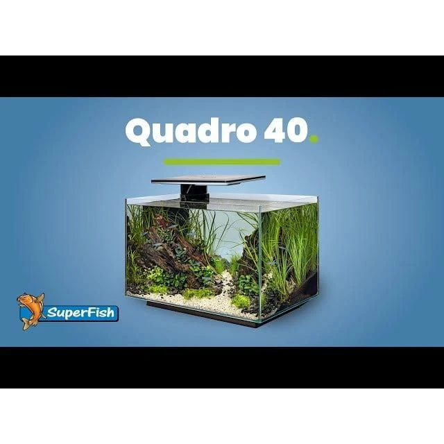 SF QUADRO 40 PRO WHITE