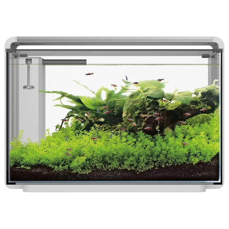 SF HOME PROLED 65 AQUARIUM WHITE