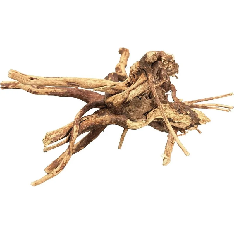 BIOART SPIDER WOOD 10-15 CM