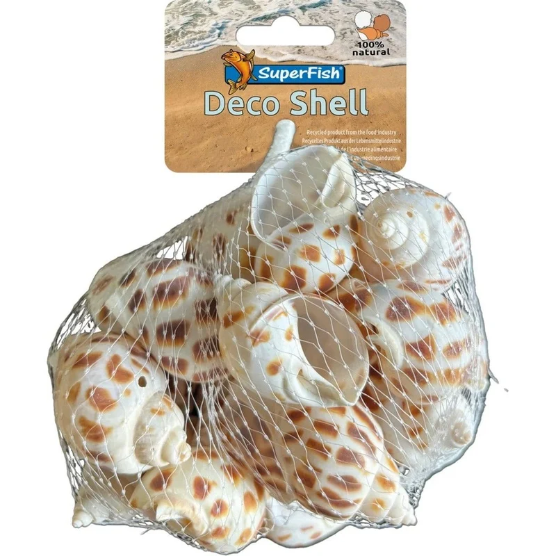 SF DECO SHELL SPIRAL STRIPED 200 GRAM