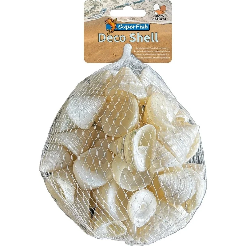 SF DECO SHELL SPIRAL WIT 200 GRAM