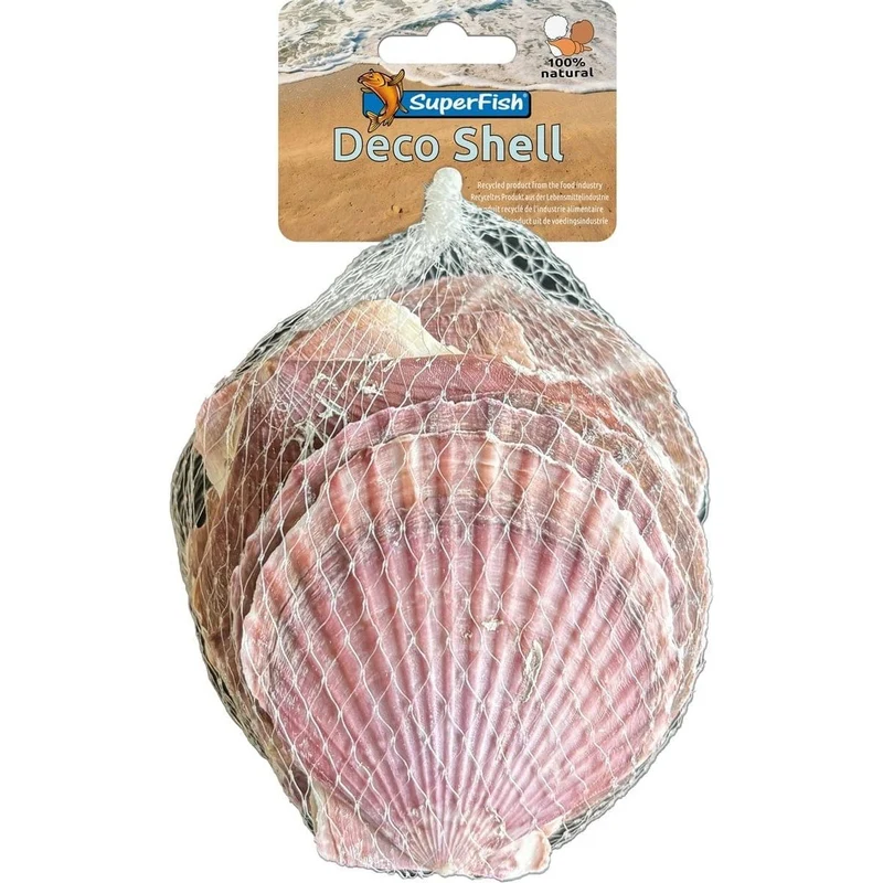 SF DECO SHELL PURPLE 200 GRAM