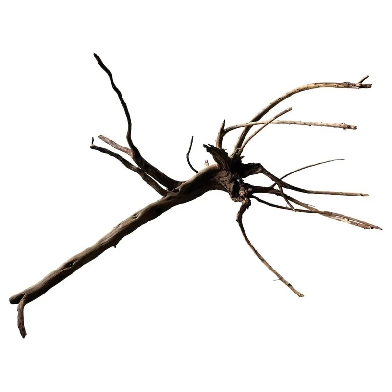 BLACK SPIDER WOOD X-LARGE