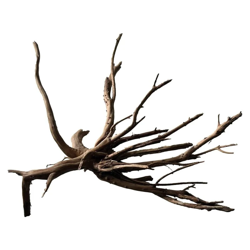 BLACK SPIDER WOOD MEDIUM