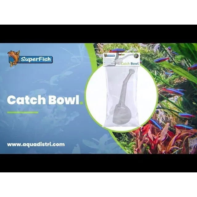 SF CATCH BOWL