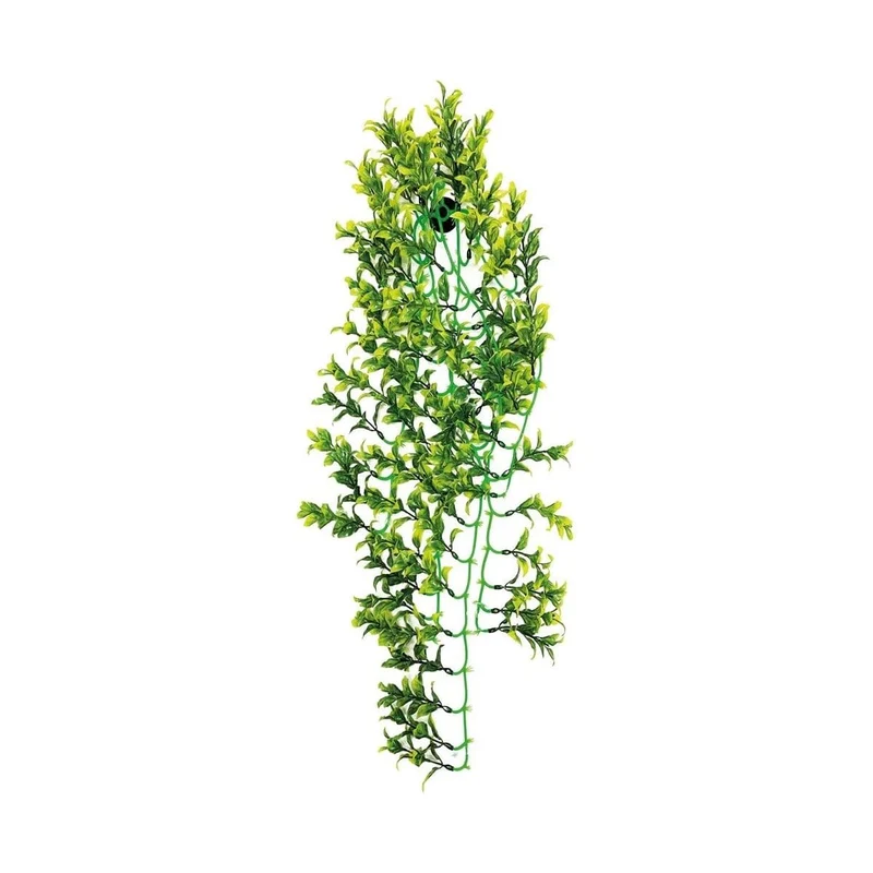 REPTO PLANT GREEN/YELLOW 70 CM