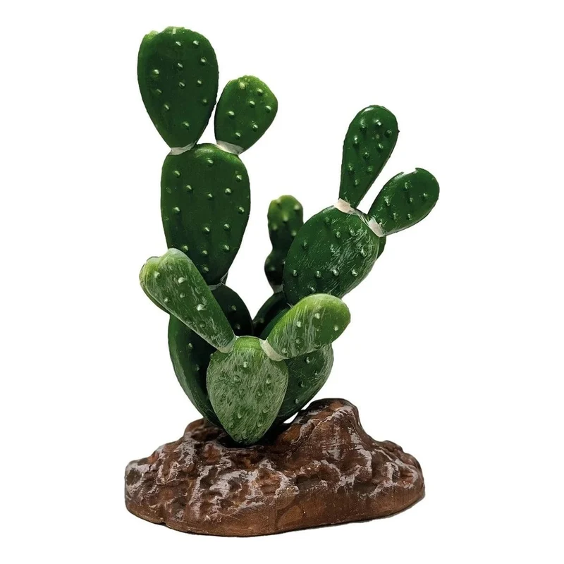 REPTO PLANT CACTUS OPUNTIA