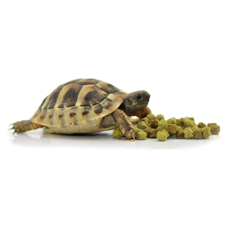 HABISTAT TORTOISE FOOD FRUIT & FLOWER 400 GRAM