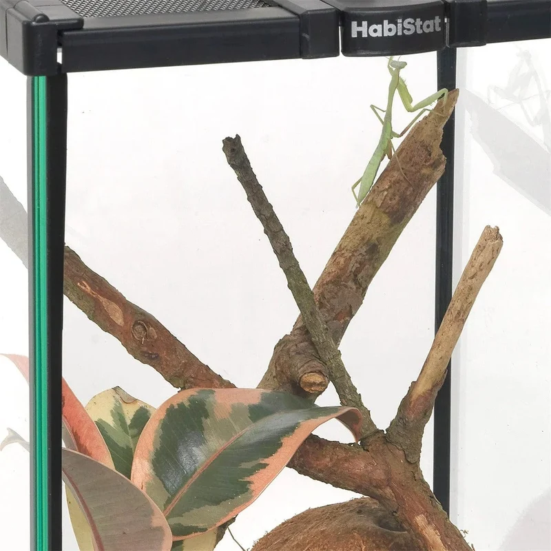 HABISTAT INVERTEBRATE STARTER KIT