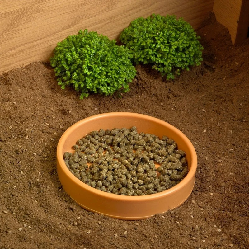 HABISTAT TORTOISE TABLE ACCESSORY KIT