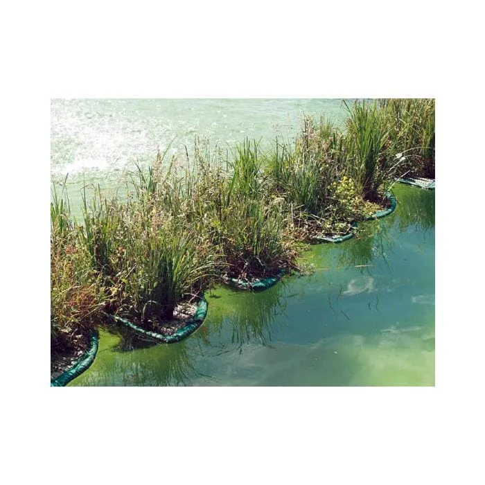 Île de plantes flottante ronde type 41