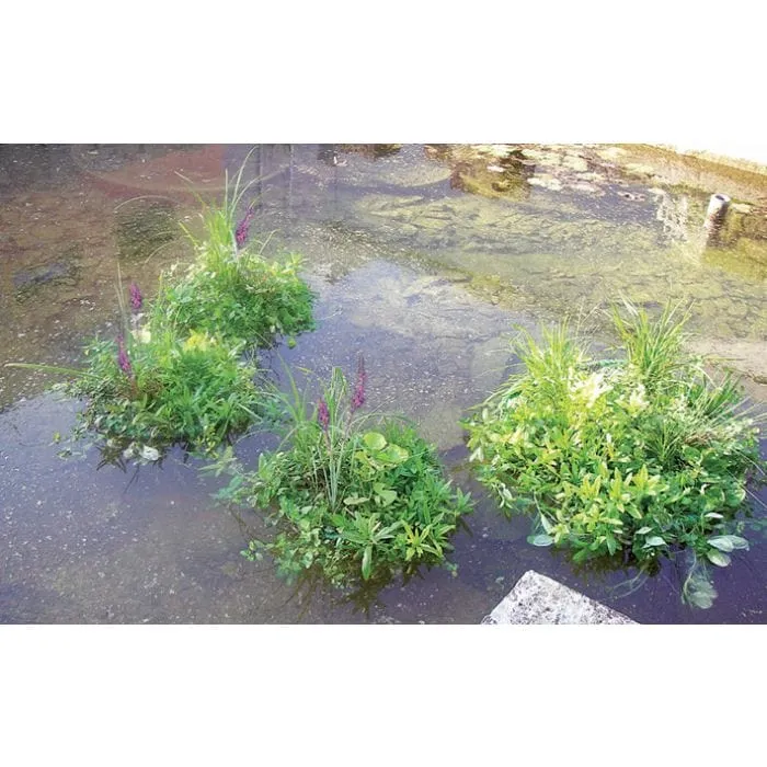 Île de plantes flottant rectangle 121x85