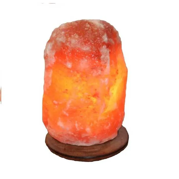 Lampe de Sel de L'himalaya - Salt Dreams - Avec socle en bois