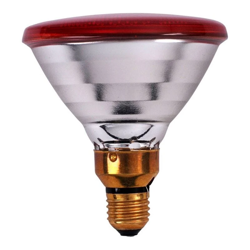 PHILIPS LAMPE INFRAROUGE PAR 100W ROUGE