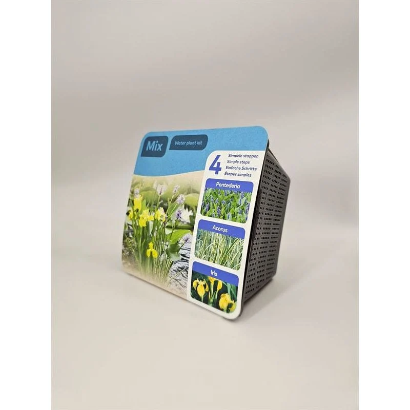 Pack Pontederia-Acorus-Iris - En kit tout-en-un - Pot de 18CM