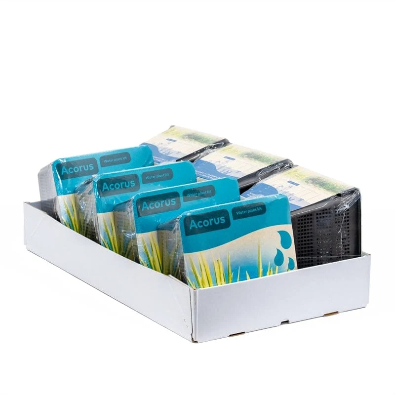 Acorus - En kit tout-en-un - Pot de 18CM