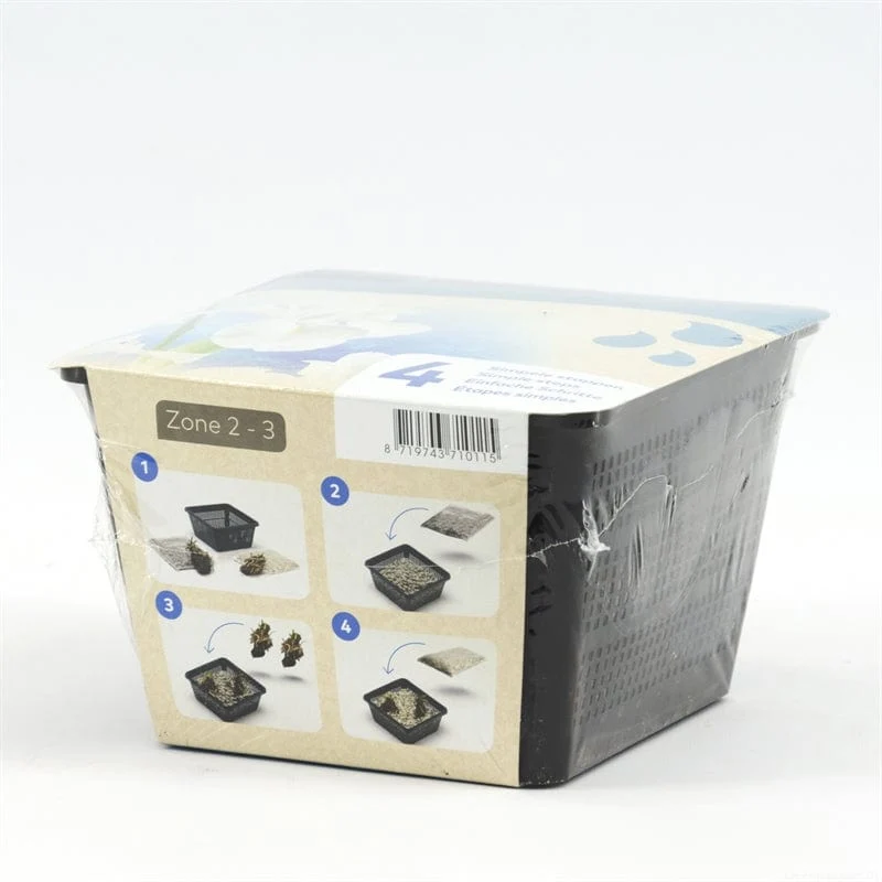 Iris blanc - En kit tout-en-un - Pot de 18CM